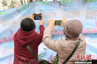 济南三月三相亲会，银发团扎堆难寻良缘