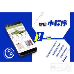 琼中黎族苗族自治县小程序开发公司 专业的技术服务商