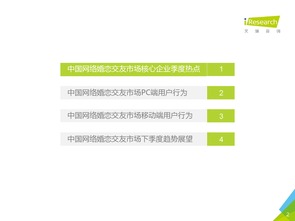 2016年第二季度中国网络婚恋行业监测报告 婚恋信息咨询市场分析与展望